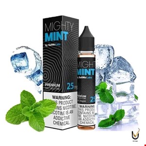 سالت ویگاد نعنایی |VGOD MIGHTY MINT SALT